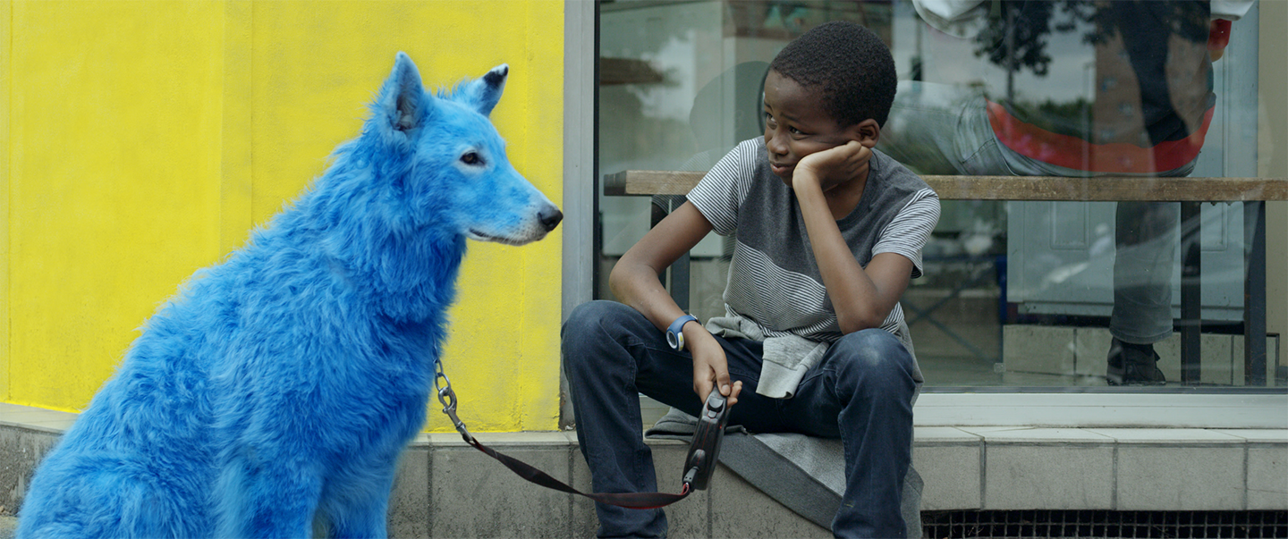 Blue Dog | Film Pittsburgh