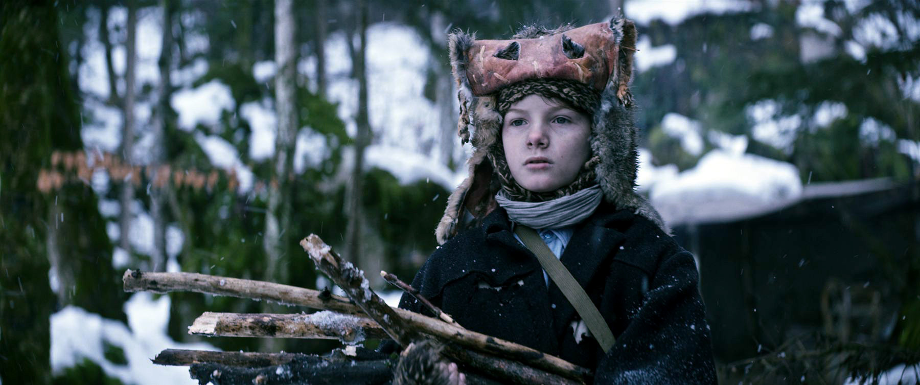 Films for the Forest 2023 Trailer