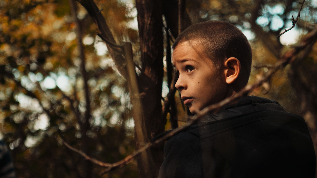 A young boy with short hair looks to the side while standing among trees in a wooded area, with sunlight filtering through the foliage.