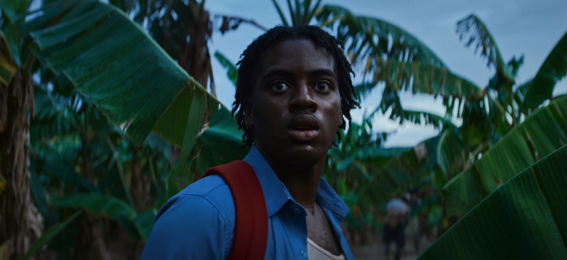 A medium shot from the film “PLATANERO” of a man standing amongst palm trees.