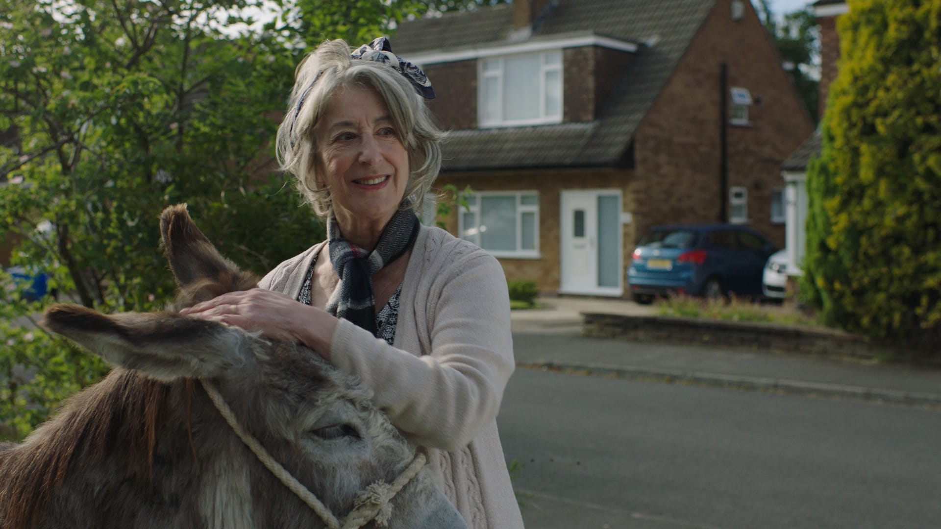 A medium shot from the film “Our Neighbor’s Ass” of a woman wearing a scarf petting a donkey.